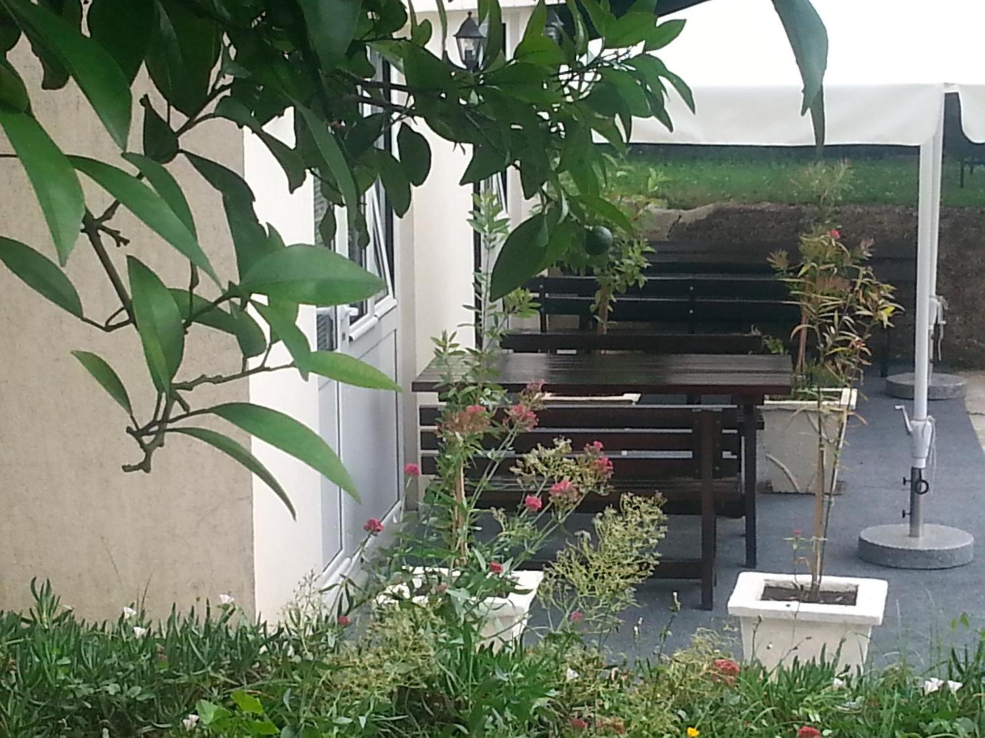 קוטור Apartments Pejanovic מראה חיצוני תמונה