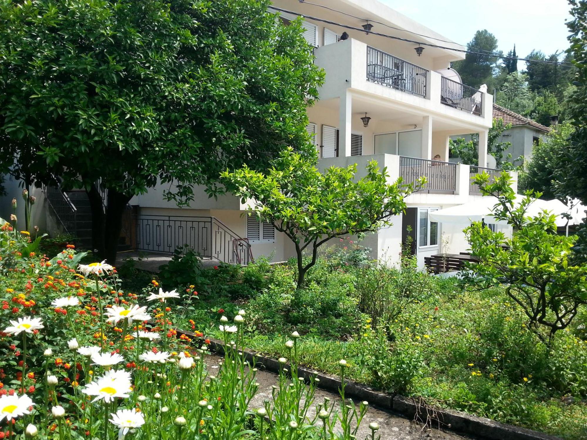 קוטור Apartments Pejanovic מראה חיצוני תמונה
